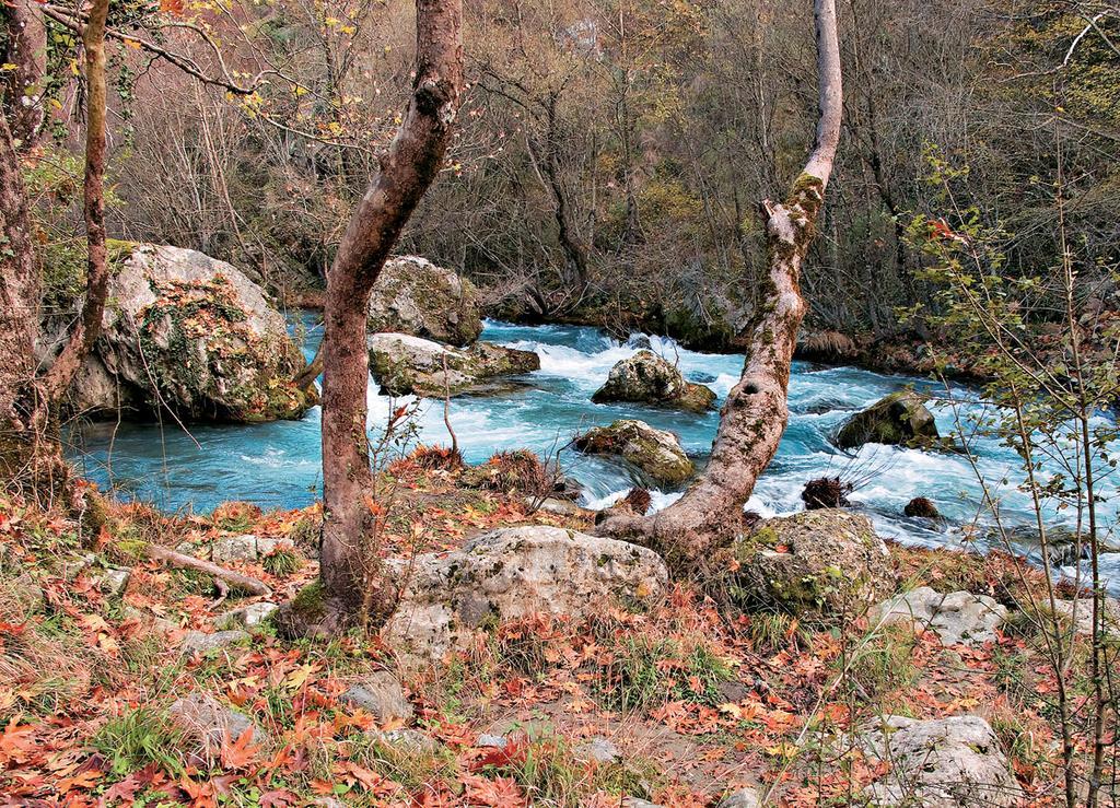 Penzion Diavatiko Stemnitsa Exteriér fotografie